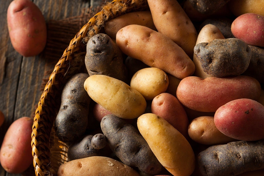 Lemon Roasted Fingerling Potatoes