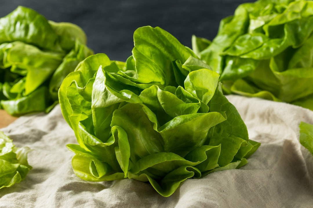 Zesty Lemon Boston Lettuce Salad